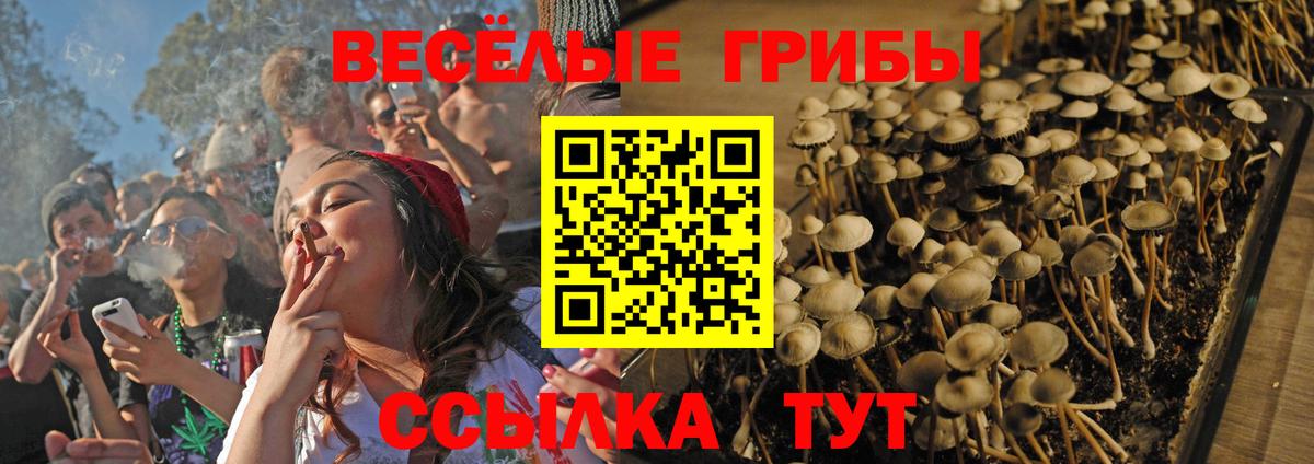 Астрахань  Галлюциногенные грибы Psilocybe  даркнет сайт  Галлюциногенные грибы Magic Shrooms  Вход с VPN 